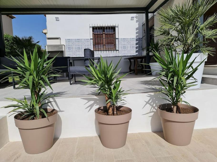 Villa On The Beach Playa Flamenca Orihuela Ngoại thất bức ảnh