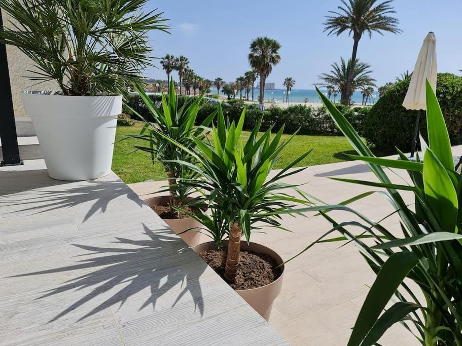 Villa On The Beach Playa Flamenca Orihuela Ngoại thất bức ảnh